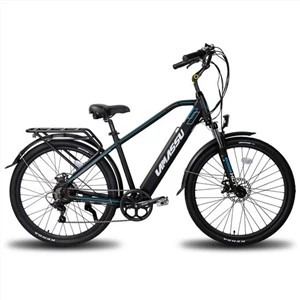 Beic Drydan City Deluxe