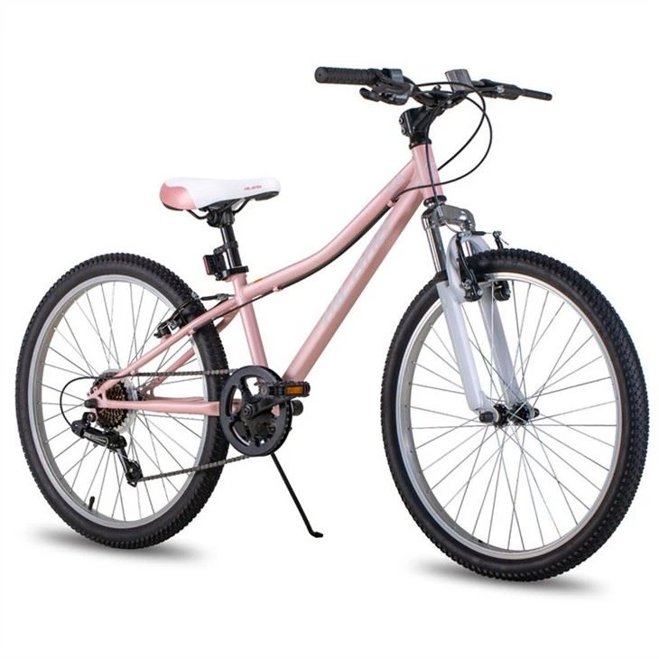 Customized Hardtail Mountain Bike