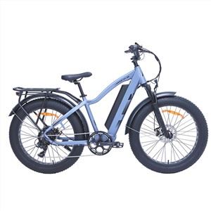 Beic MTB Baron Trydan