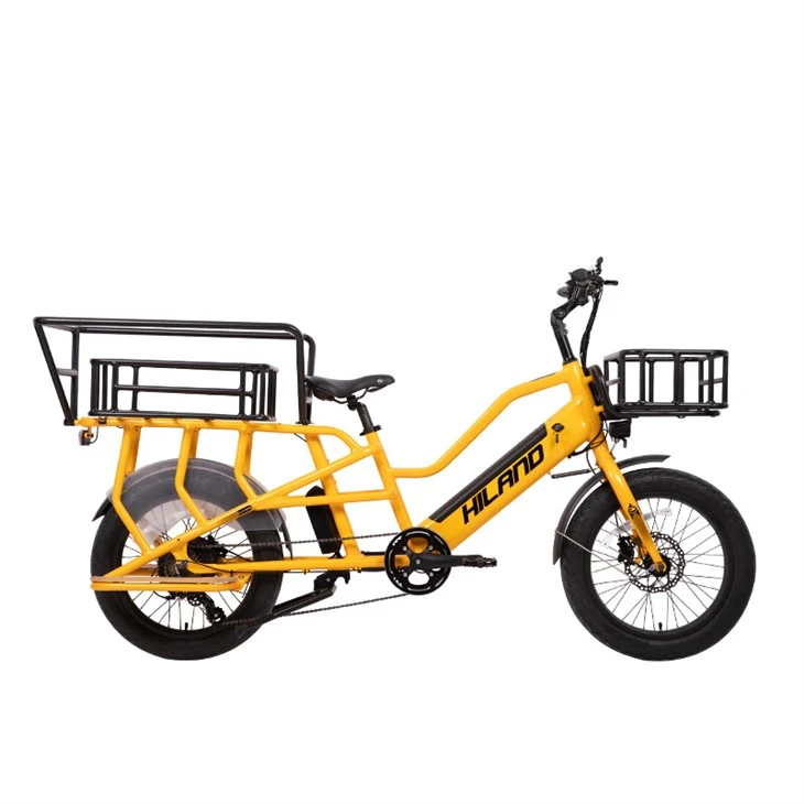 48v 500w Gollwng Cludo Teulu Wagon Warws Ewropeaidd mewn Beiciau Cargo Stoc