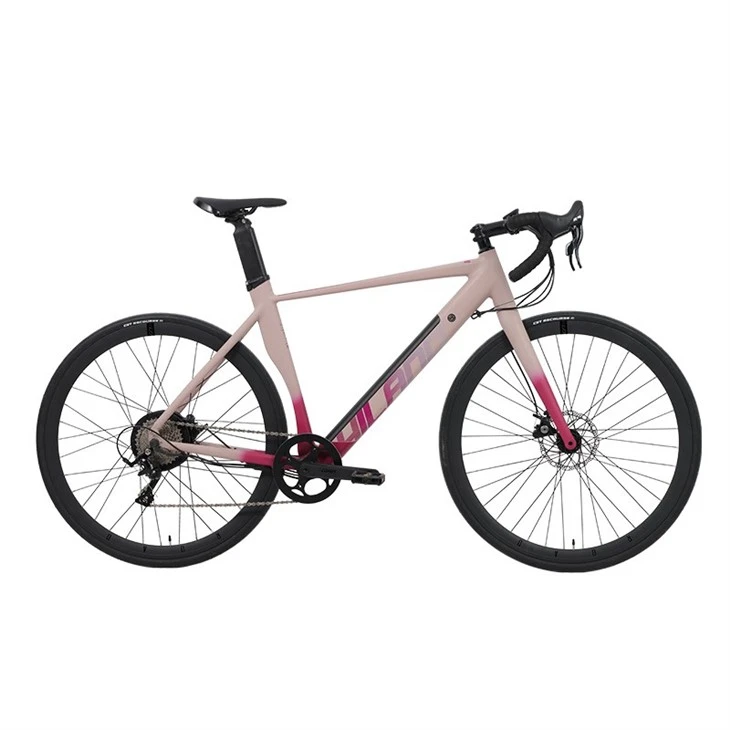 Samsung Battery 700C Alloy Road E-bike